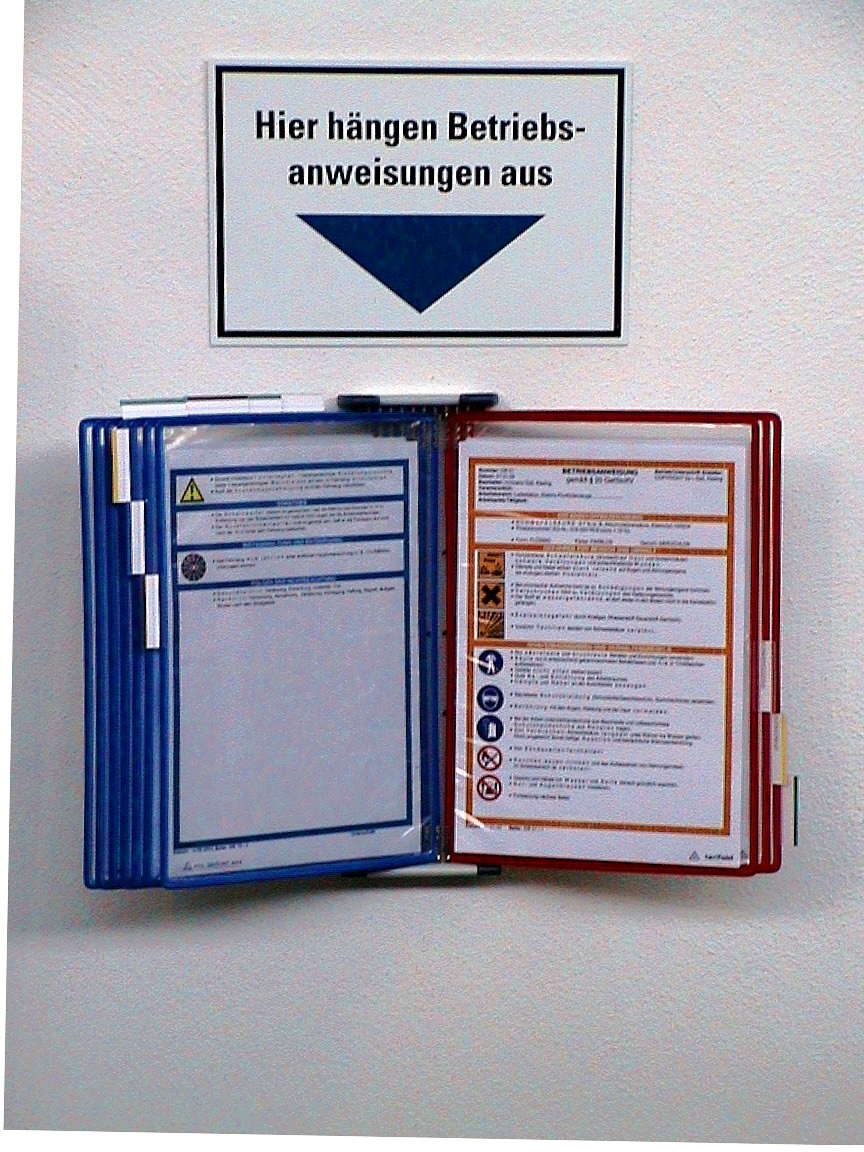 Betriebsanweisungen Schulung